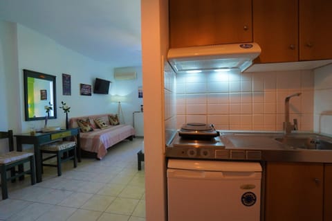 Premium Studio, Sea View, Beachfront | Private kitchenette | Fridge, stovetop, coffee/tea maker, electric kettle