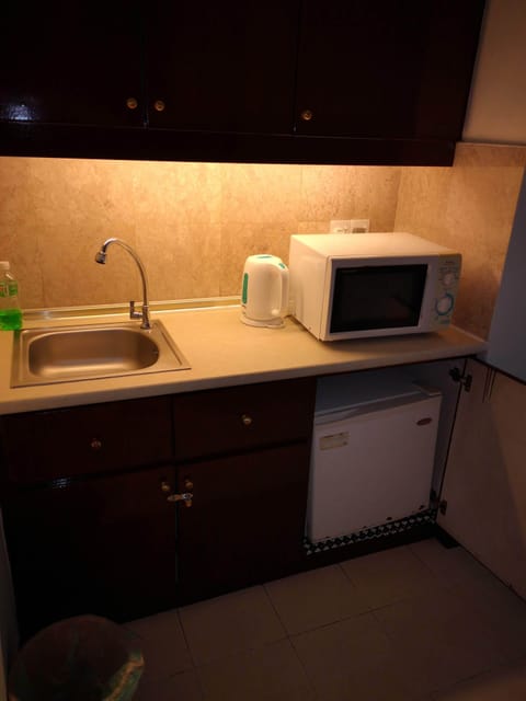 Studio | Private kitchen | Full-size fridge, microwave, dishwasher, electric kettle