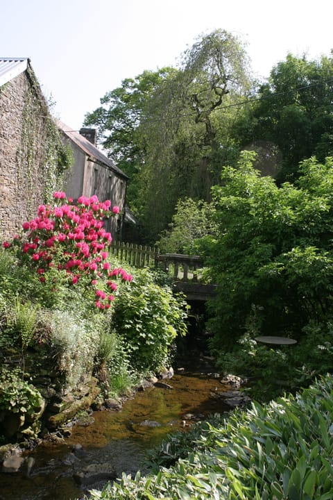 Picturesque mountain stream behind cottage