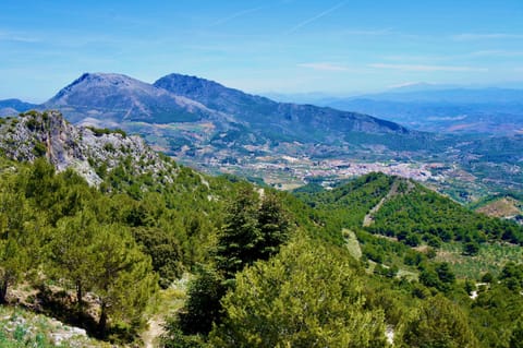 Mountain walk with views of Yunquera
