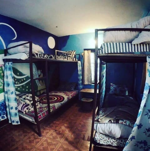 Shared Dormitory, Women only | Premium bedding, free WiFi