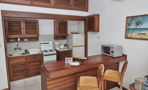 Standard Apartment, 1 Double Bed | Private kitchenette | Full-size fridge, microwave, oven, stovetop