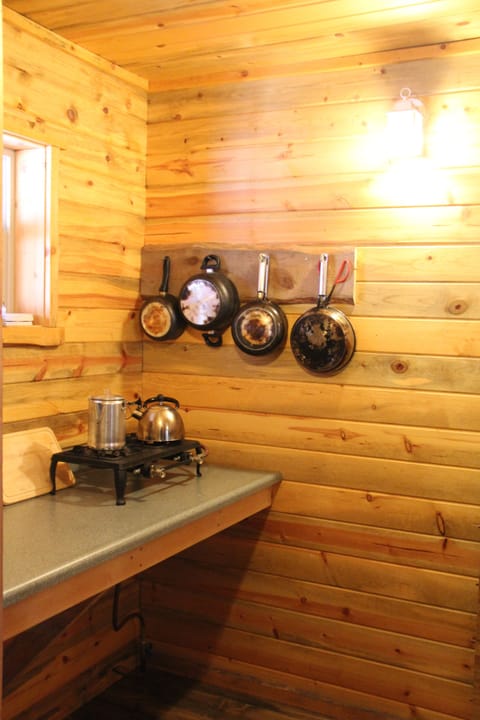 Traditional Cabin, Non Smoking, Kitchenette (Kalio's Cabin) | Private kitchenette | Stovetop, coffee/tea maker, cookware/dishes/utensils, cleaning supplies