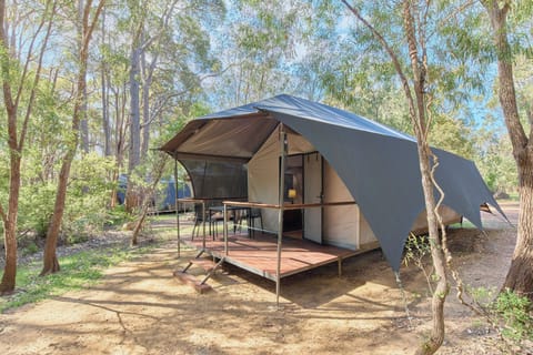 Eco Safari Tent- Sleeps 6 | Terrace/patio