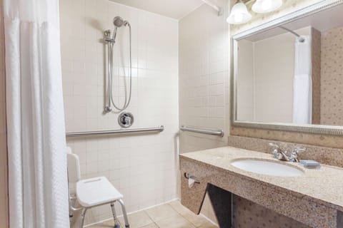 Combined shower/tub, free toiletries, hair dryer, towels