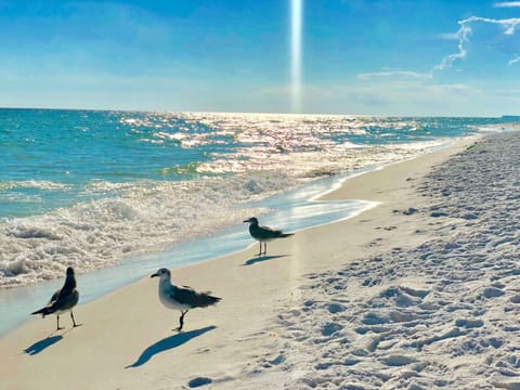 Private beach, white sand