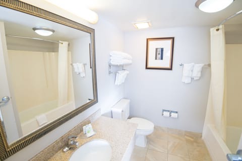 Combined shower/tub, free toiletries, hair dryer, towels