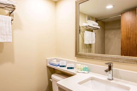 Combined shower/tub, free toiletries, hair dryer, towels