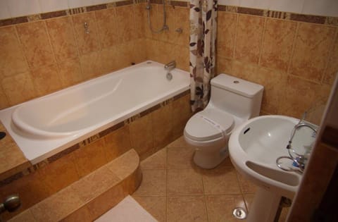 Junior Room, 1 Queen Bed | Bathroom | Shower, free toiletries, hair dryer, towels