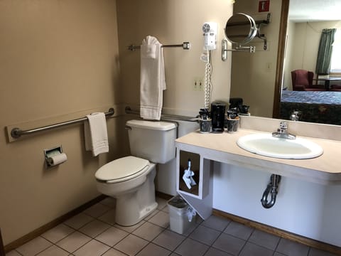 Standard Room, 1 King Bed, Accessible | Bathroom sink