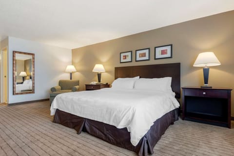 Suite, 1 King Bed, Accessible, Non Smoking | Desk, laptop workspace, blackout drapes, iron/ironing board