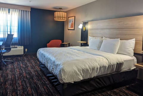 Room, 1 King Bed, Non Smoking | Premium bedding, desk, laptop workspace, blackout drapes