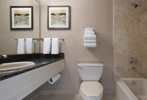 Combined shower/tub, eco-friendly toiletries, hair dryer, towels