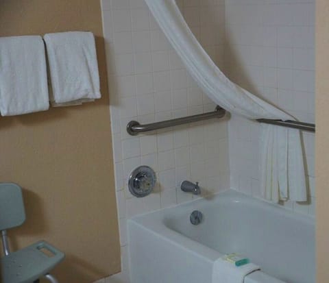 Standard Room, 1 King Bed, Accessible, Bathtub | Bathroom shower