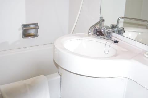 Separate tub and shower, free toiletries, hair dryer, bathrobes
