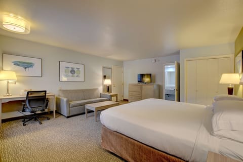 Suite, 1 King Bed, Non Smoking, Hot Tub | Blackout drapes, iron/ironing board, rollaway beds, free WiFi