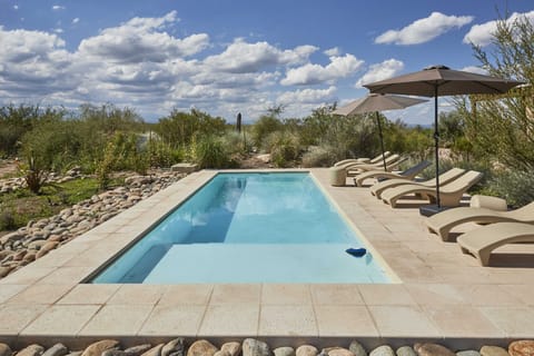 Outdoor pool, sun loungers