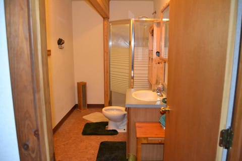 Room (Standard room 1) | Bathroom | Shower, free toiletries, towels