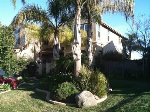 4200 sq feet on 1/2 acre with Lots of tropical Hawaii feel palm trees/foliage