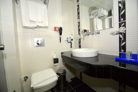 Superior Double or Twin Room | Bathroom | Shower, free toiletries, hair dryer, slippers