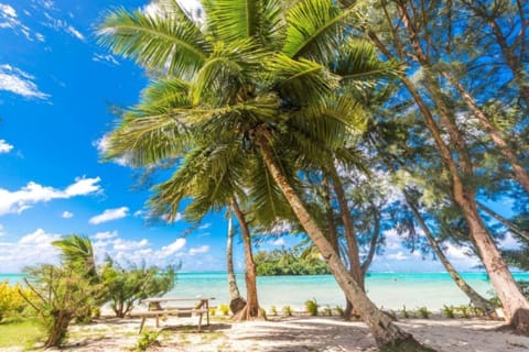 Beach nearby, beach towels