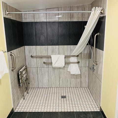 Standard Room, 1 King Bed, Accessible, Microwave | Bathroom shower