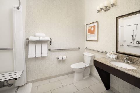 Standard Room, 1 King Bed, Accessible (Mobility, Roll-In Shower) | Bathroom | Combined shower/tub, free toiletries, towels