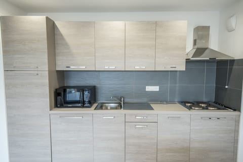 Apartment (F3) | Private kitchen