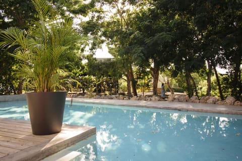 Outdoor pool, sun loungers