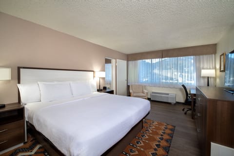 Suite, 1 Bedroom, Mountain View (Pet Friendly) | Desk, blackout drapes, iron/ironing board, free cribs/infant beds