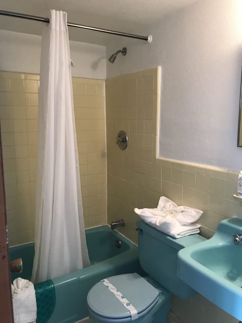 Combined shower/tub, free toiletries, hair dryer, towels