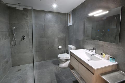 Combined shower/tub, rainfall showerhead, free toiletries, hair dryer