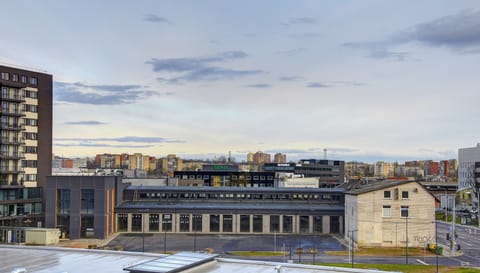 Business Loft 65 | View from room