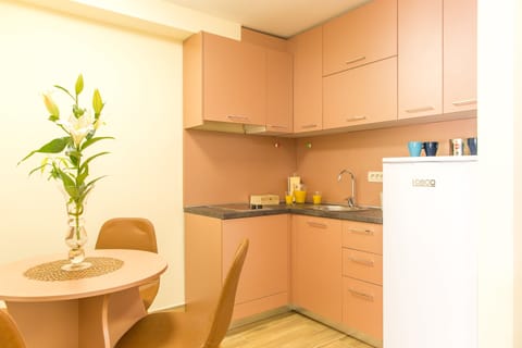 Apartment, 2 Bedrooms, Terrace, Garden Area (Podkosljun Kanjosa Macedonovica) | Private kitchen | Fridge, electric kettle