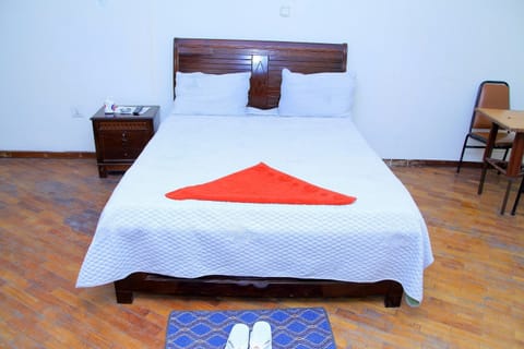 Deluxe Double Room, 1 Queen Bed | Room amenity