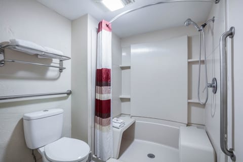 Superior Room, 1 King Bed, Accessible, Non Smoking (Roll-In Shower) | Bathroom | Free toiletries, hair dryer, towels