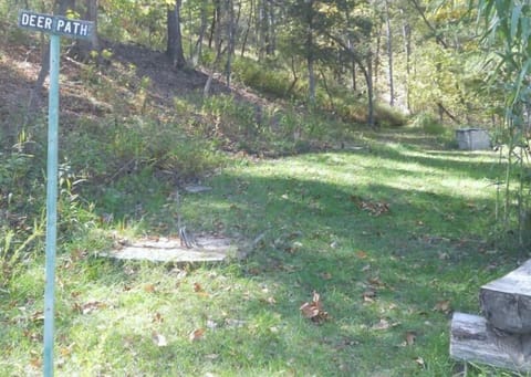 Walking Trails on the property 