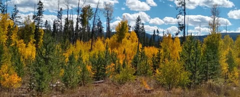 StayWinterPark fall-foliage