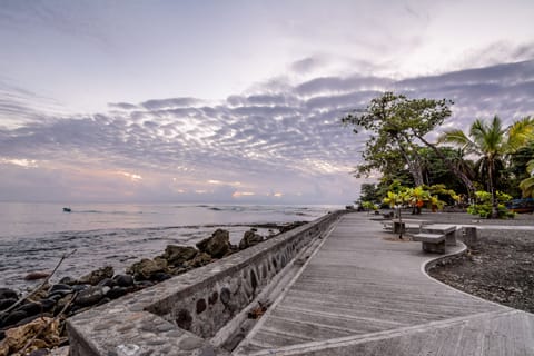 Beach/ocean view