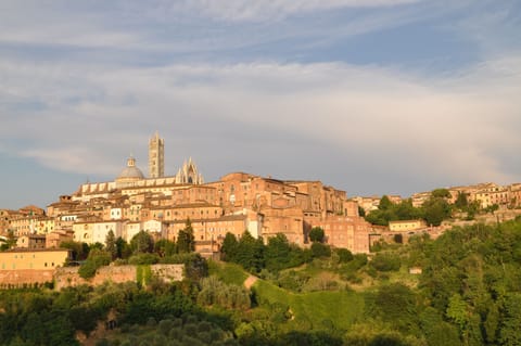 View of the cathedral hill after the storm (balcony with awning)