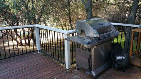 The BBQ station (the gas is provided).