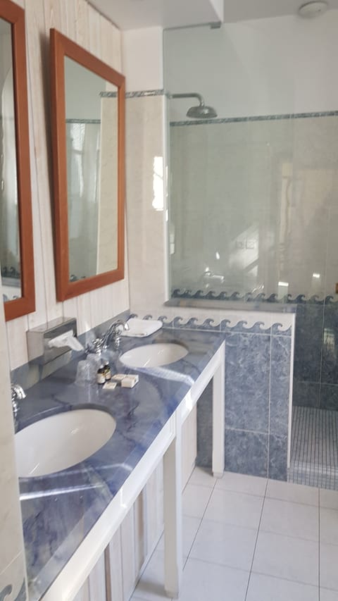 Deluxe Double Room | Bathroom shower