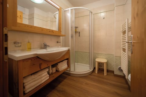 Shower, free toiletries, hair dryer, bidet