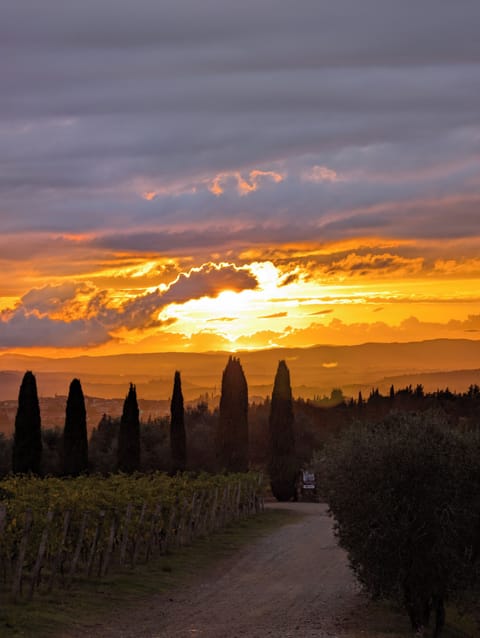 Land view from property