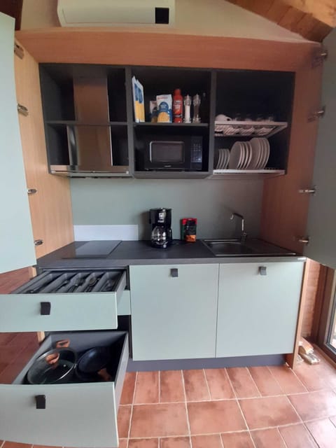 Traditional Apartment, 1 King Bed with Sofa bed | Private kitchen | Fridge, microwave, stovetop