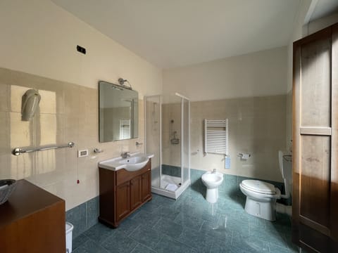 Basic Room | Bathroom | Rainfall showerhead, free toiletries, hair dryer, bidet