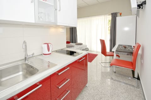 Studio, Balcony (Apartment 2 people ) | Private kitchen | Fridge, paper towels