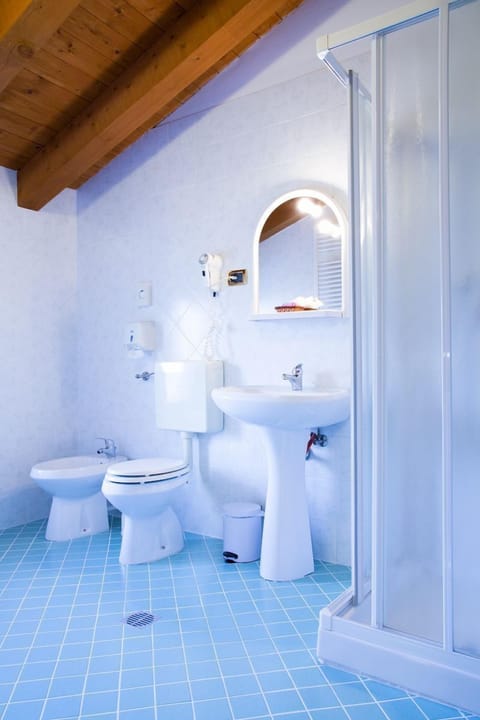 Hair dryer, bidet, towels