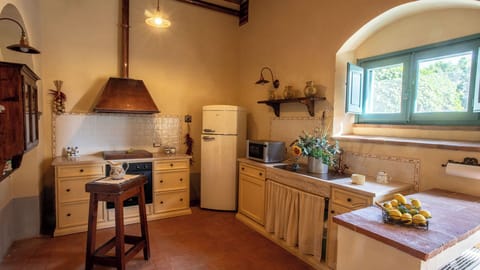 Standard Apartment | Private kitchen | Coffee/tea maker, electric kettle