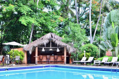 Outdoor pool, sun loungers